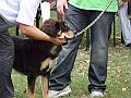 img 157
